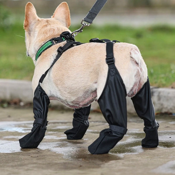 The Dog Paw™ Winter Waterproof Pet Boots